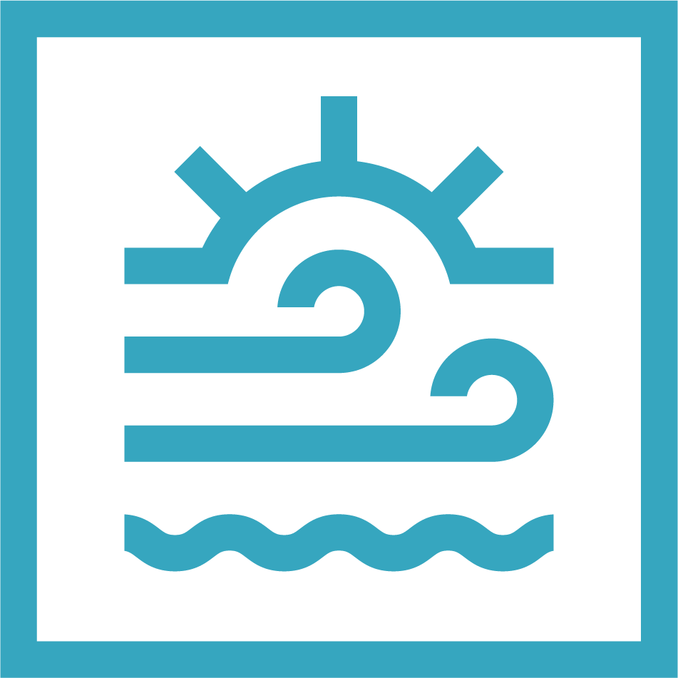 Custom Logo
